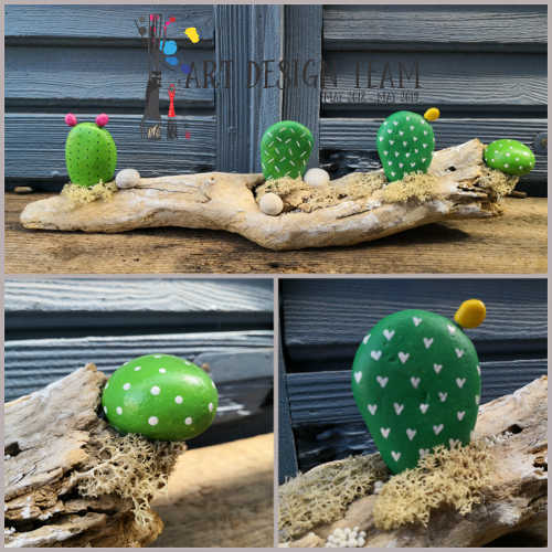 kaktusi_iz_kamenja